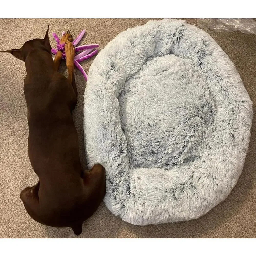 xl dog bed